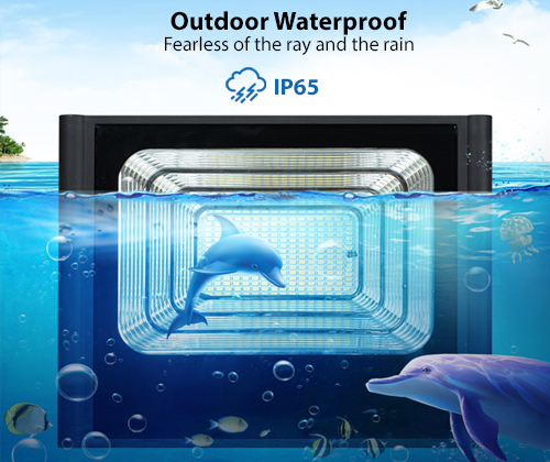 product-ALLTOP -img-1