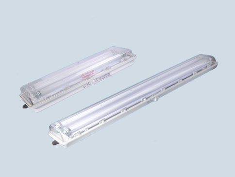 防爆防腐全塑LED荧光灯BAY(I型)