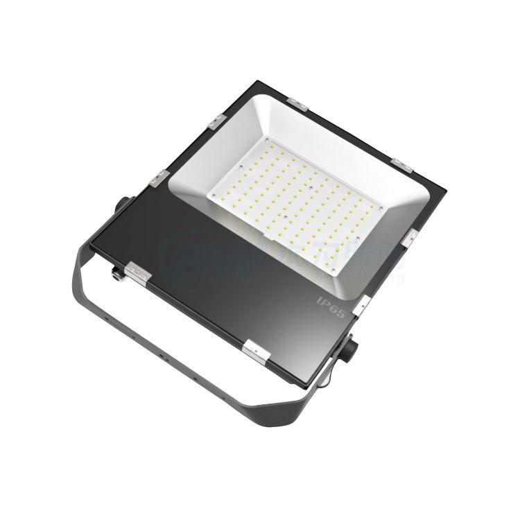 led focus light 100w