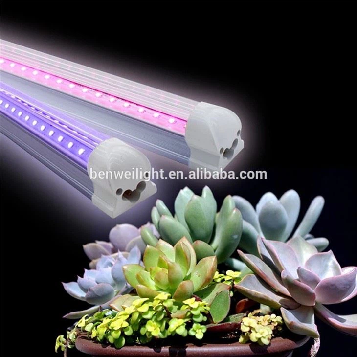 グローライトバッテリー駆動