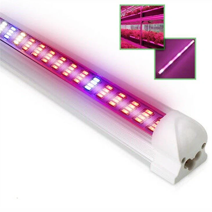 ホームデポでライトを育てる