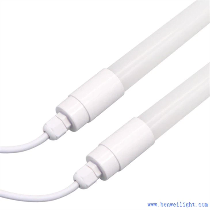 チキンLEDライト