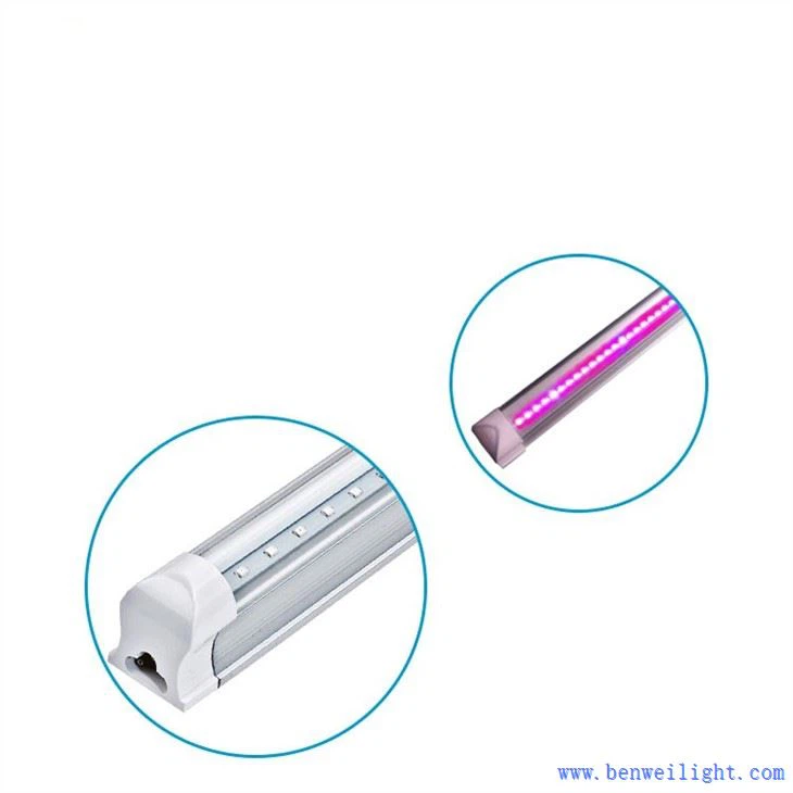 グローライトメーター