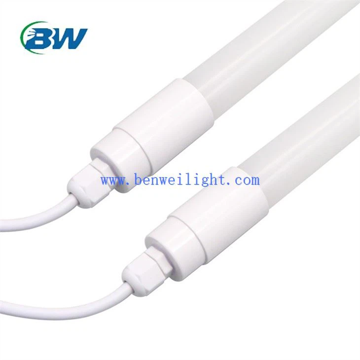 家禽主導の照明