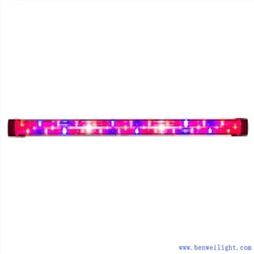 成長するLEDライト