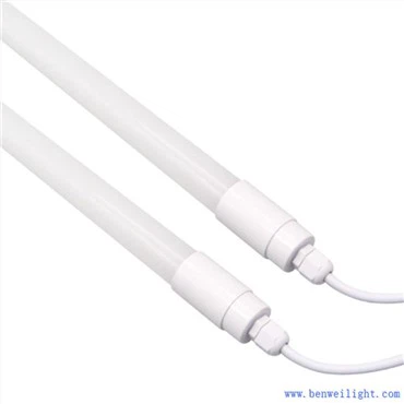 家禽生産における照明