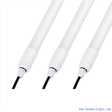 家禽ライトディマー