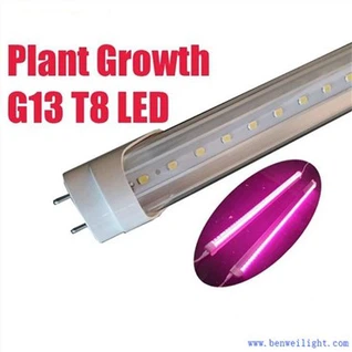 植物成長G13T8 Led