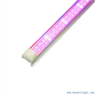 ライトデポを育てる