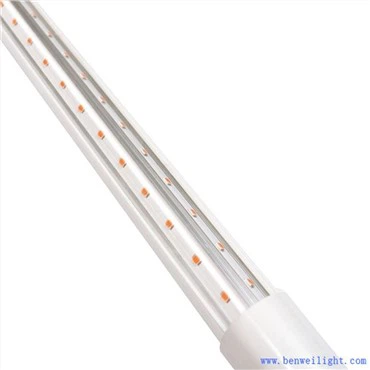 家禽ライトマネージャーミニ