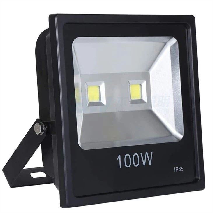 Flood Light With Electrical Outlet