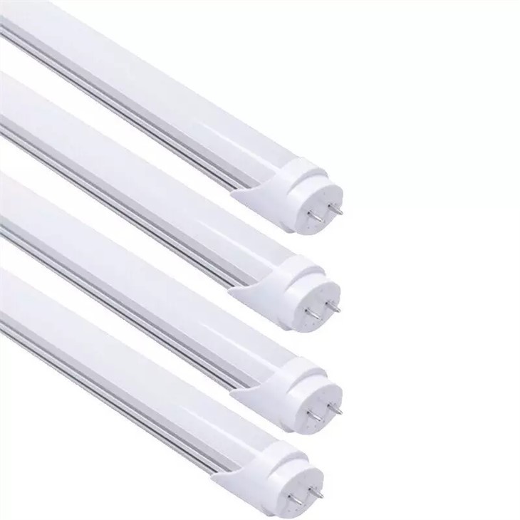 BENWEI High Efficiency T8 Led Tube Light EU And US Standard