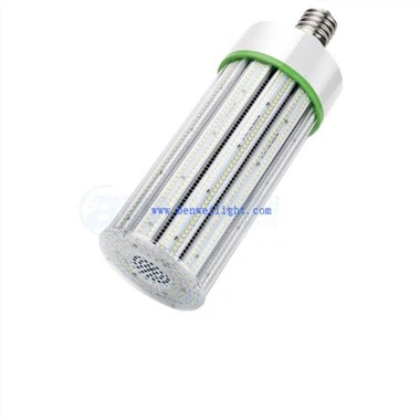 導かれたトウモロコシの球根ローズ