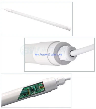 家禽生産におけるLED照明