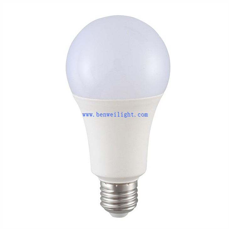 100 ワット Led 昼光電球
