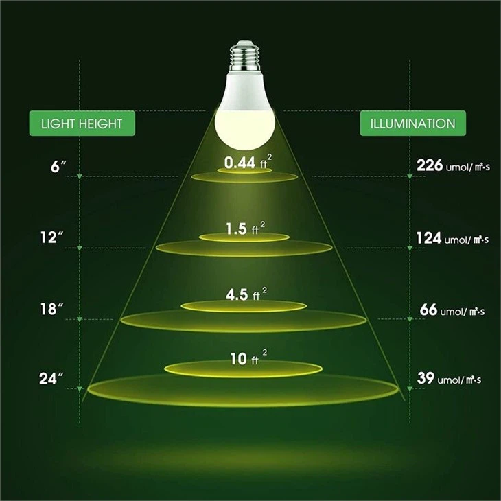 full spectrum light bulbs 2