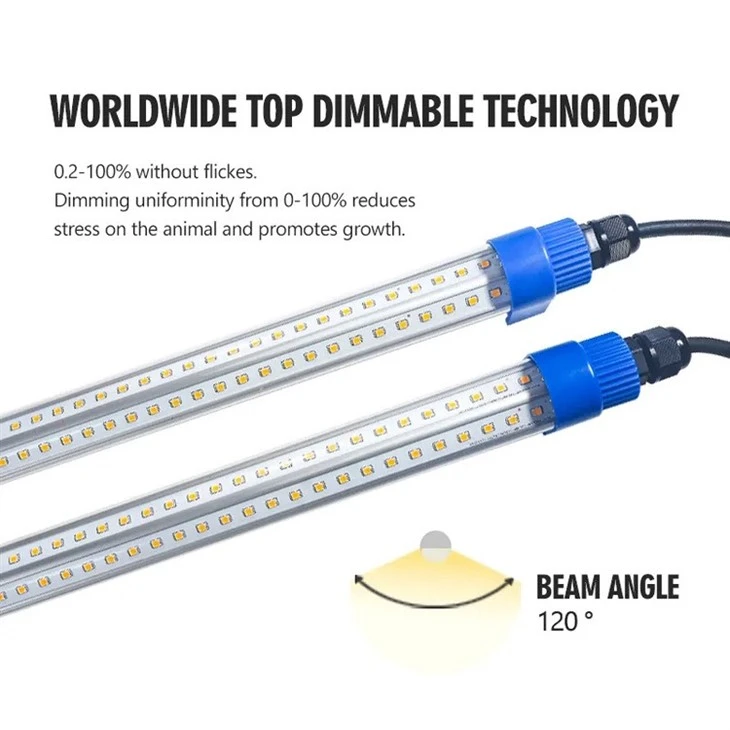 DC12V LED Poultry Lighting detail