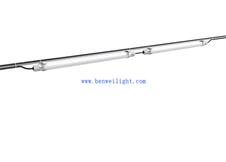 lighting for broiler chickens