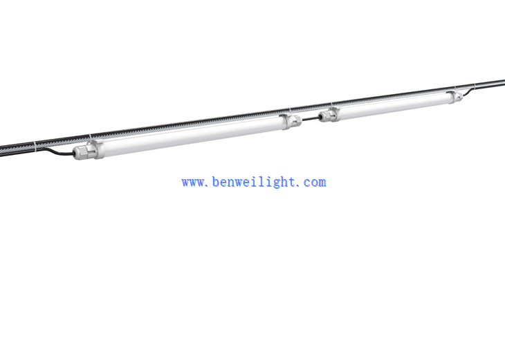 lighting for broiler chickens