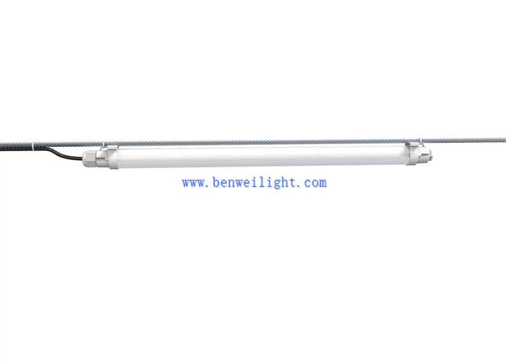 chicken farm lighting