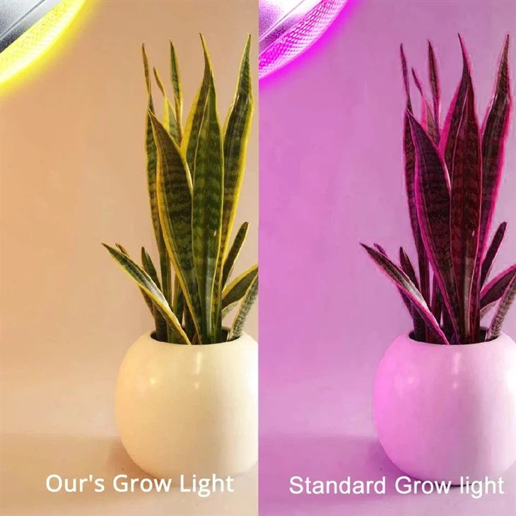 LED Grow Light Bulb 3