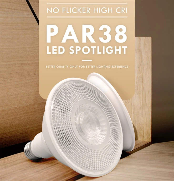 PAR38 15W 防水 LED 電球