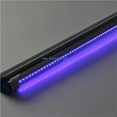 Fly Catcher Tube Light