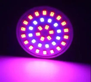 MR16 12V UV ブラックライト電球