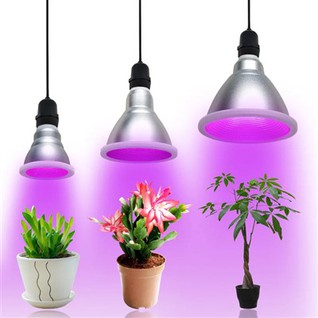 Par20 農業用温室 LED 成長ライト