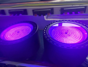 QQ20251027-145806 QQ20251027-145806