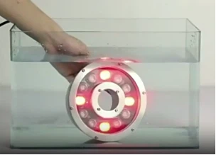 info-304-219 info-304-219