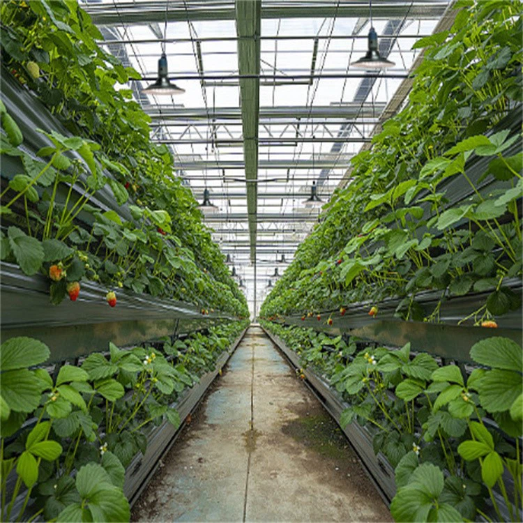 full spectrum grow lights full spectrum grow lights