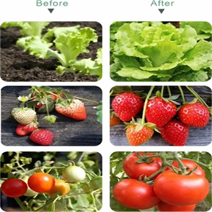product-300-300