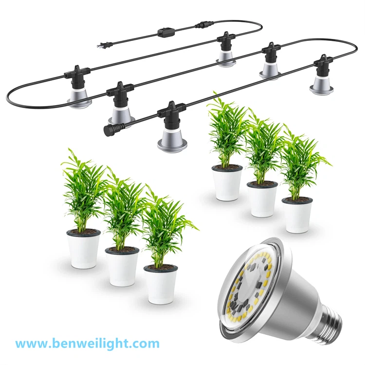 product-750-750 product-750-750