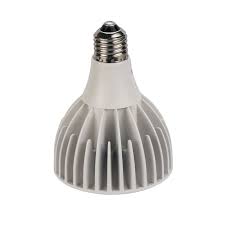 LED PAR30 ディム P