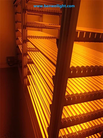 T8 チューブ UV & ブルーライト シールド: 500nm 未満の光線をブロック